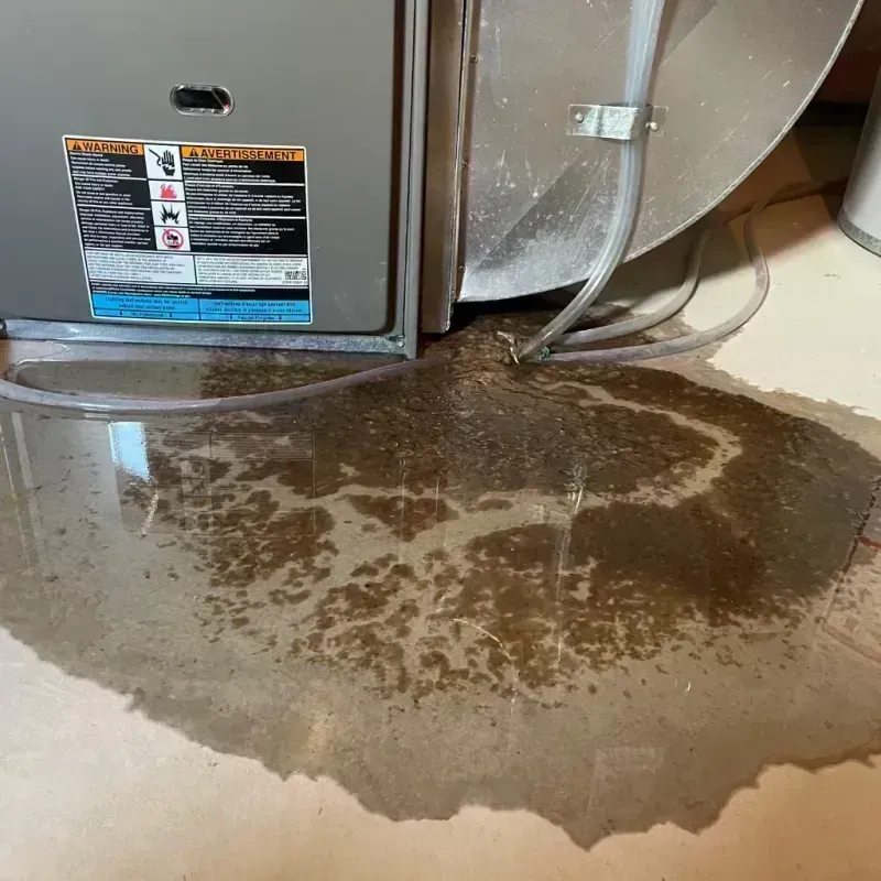 Appliance Leak Cleanup in Castle Pines North, CO